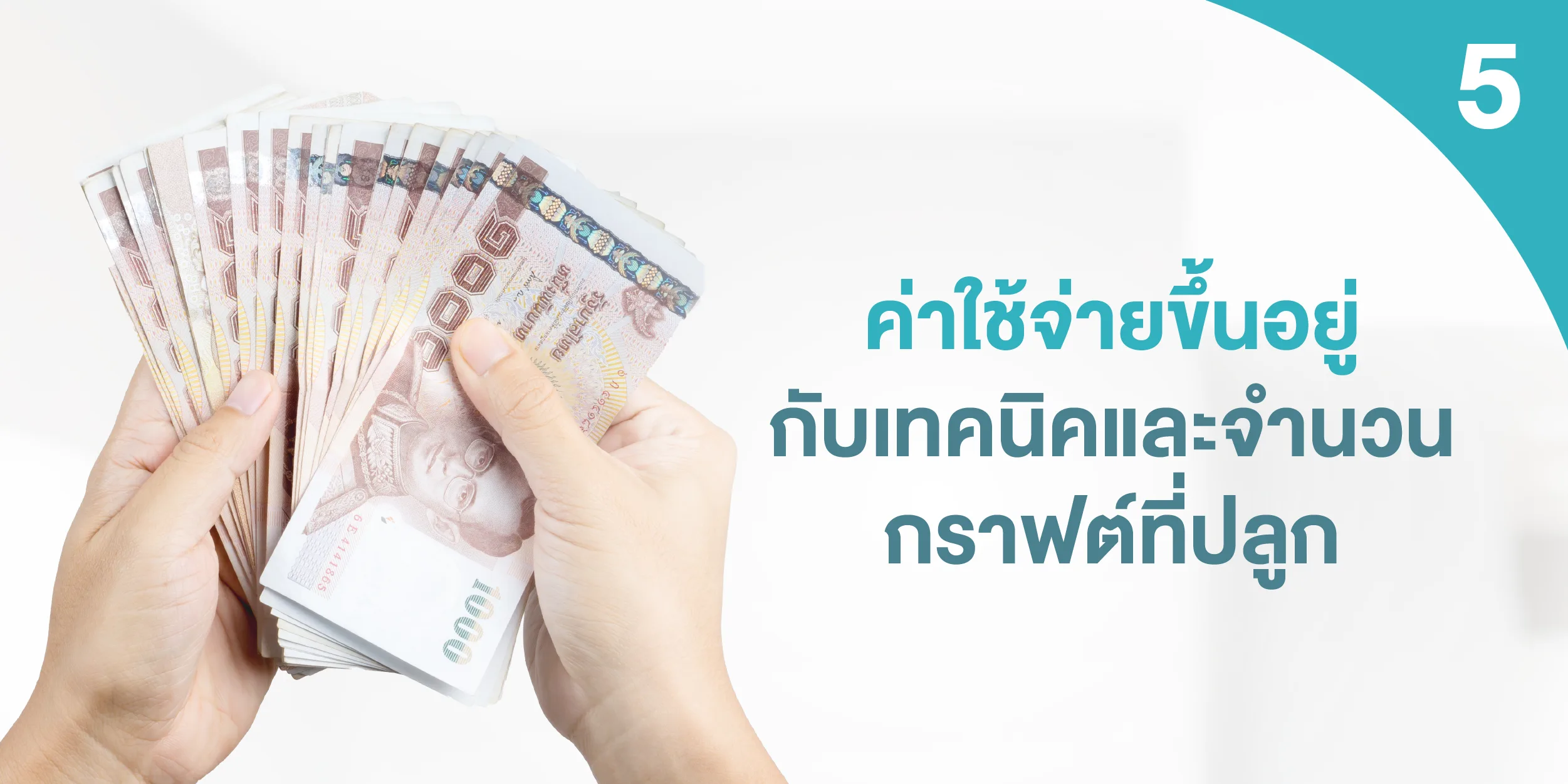 ค่าใช้จ่ายขึ้นอยู่กับเทคนิคและจำนวนกราฟต์ที่ปลูก
