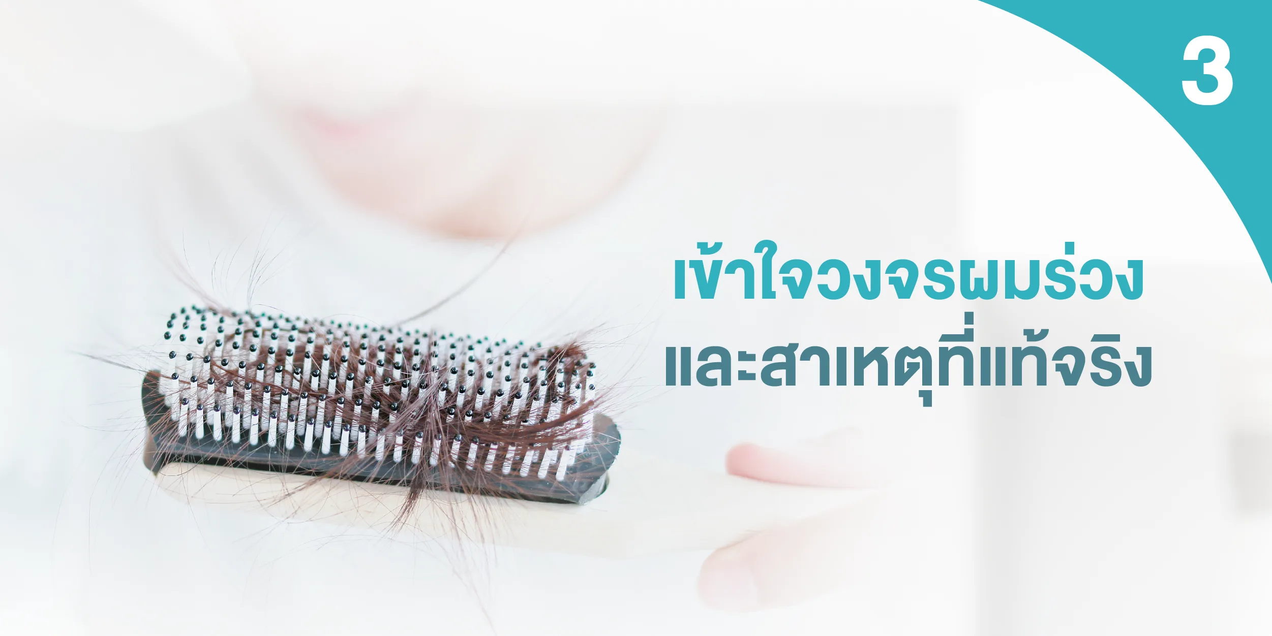 เข้าใจวงจรผมร่วง และสาเหตุที่แท้จริง