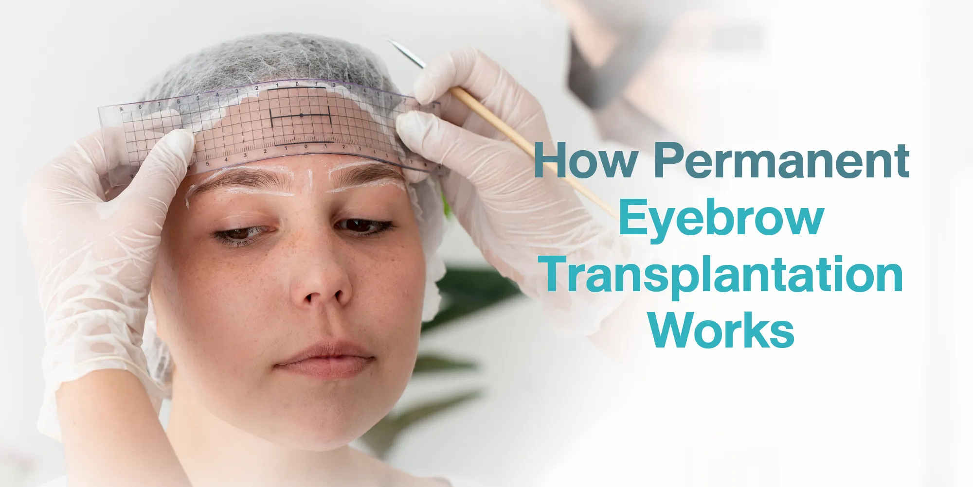 How Permanent Eyebrow Transplantation Works