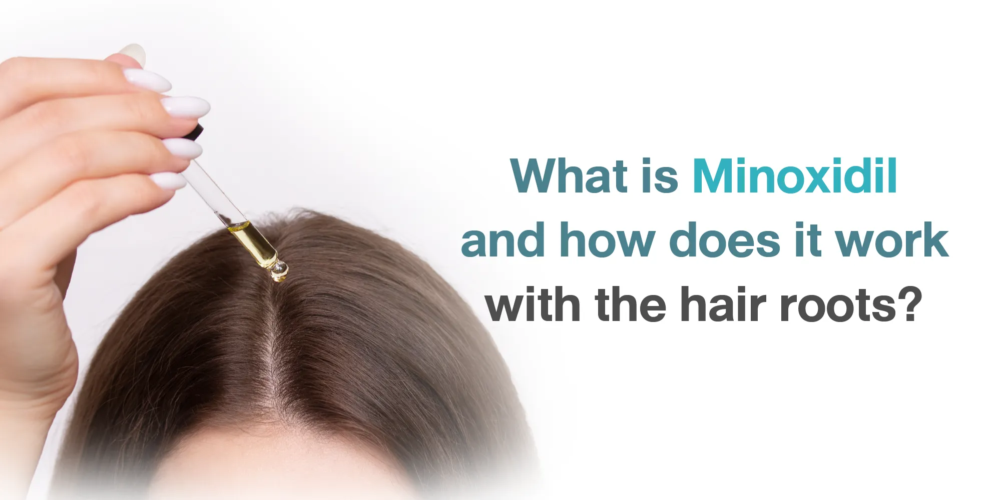 What is Minoxidil and how does it work with the hair roots