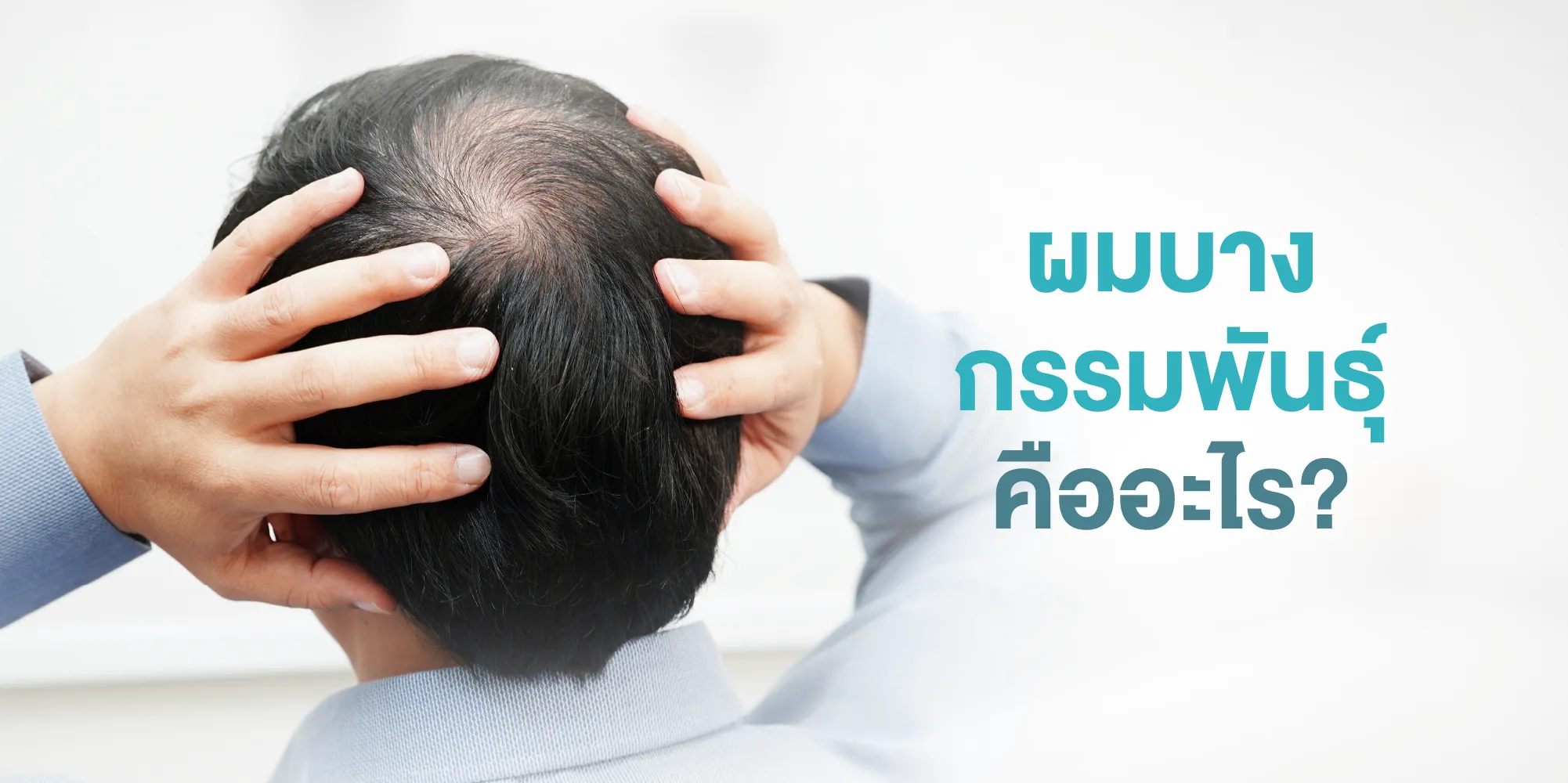 ผมบางกรรมพันธุ์ คืออะไร
