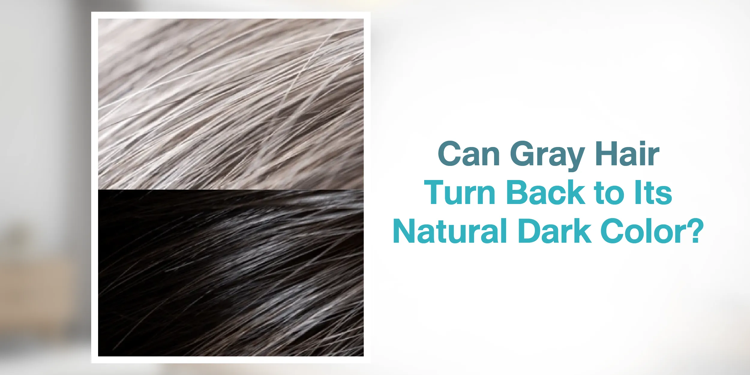 Can Gray Hair Turn Back to Its Natural Dark Color